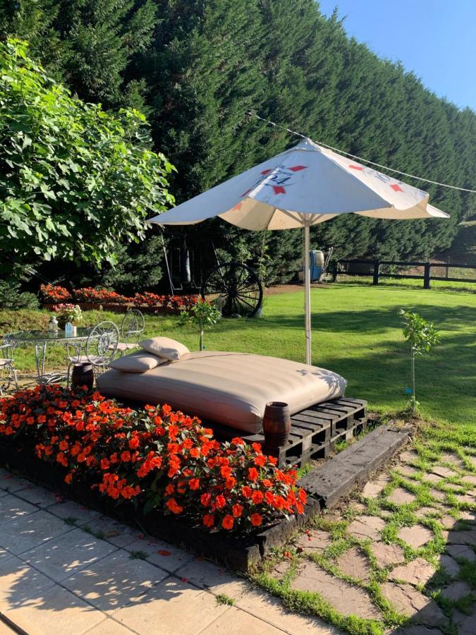 Agroturismo Anziola Oiartzun Ngoại thất bức ảnh